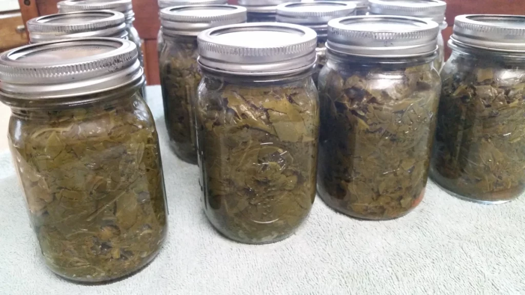 canning collard greens recipe